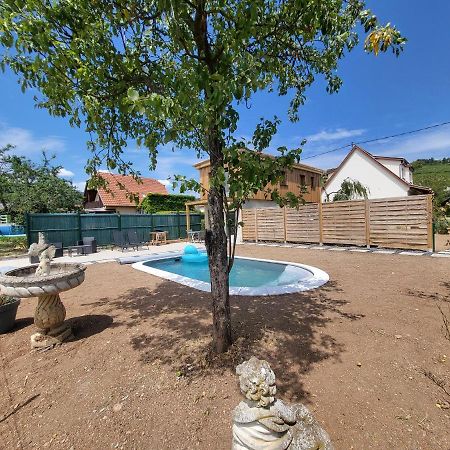 Au Coeur Des Vignes Apartment Бергхайм Екстериор снимка