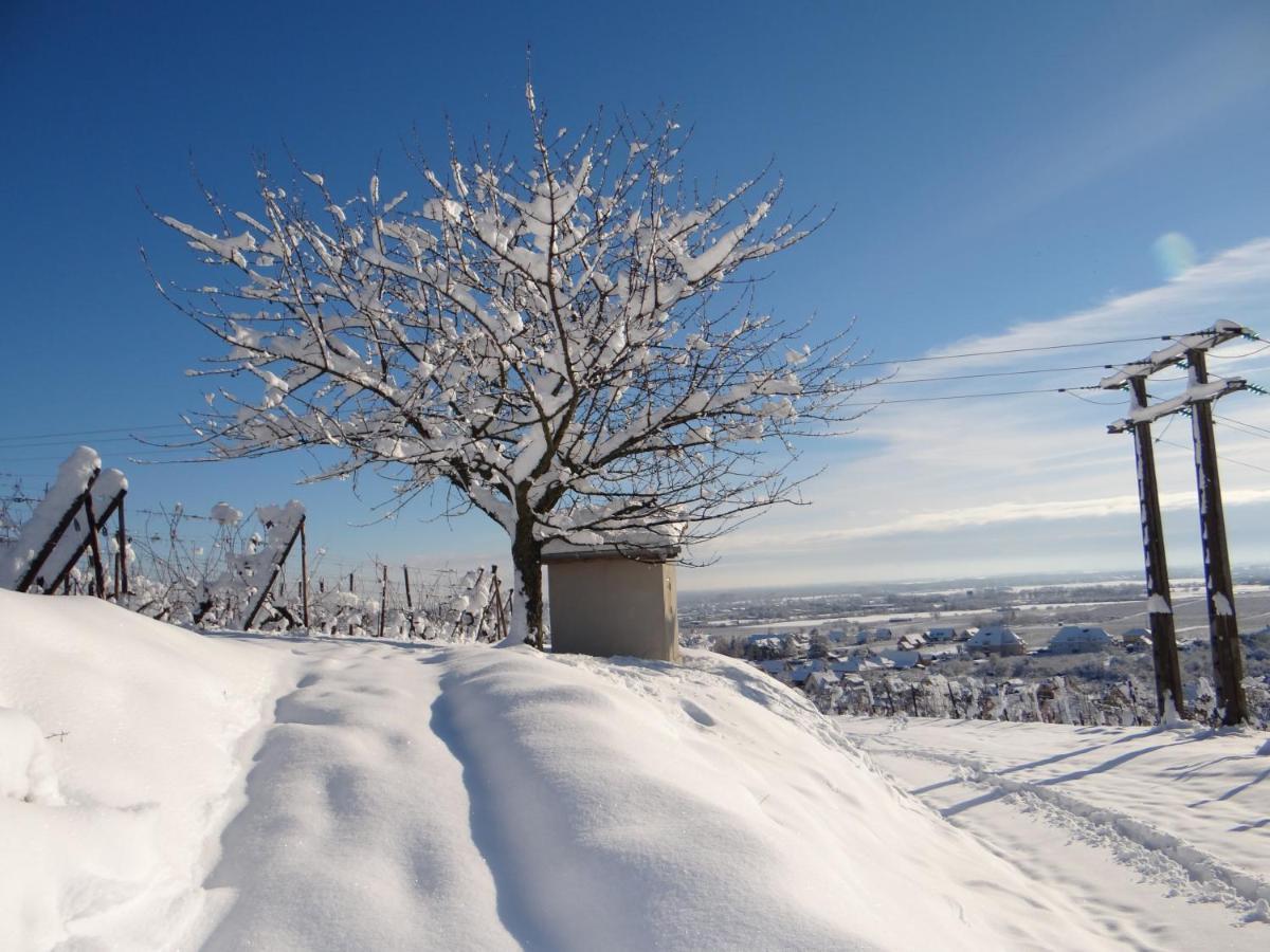 Au Coeur Des Vignes Apartment Бергхайм Екстериор снимка