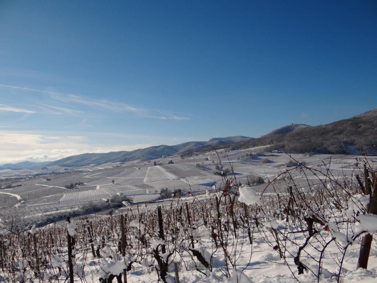 Au Coeur Des Vignes Apartment Бергхайм Екстериор снимка
