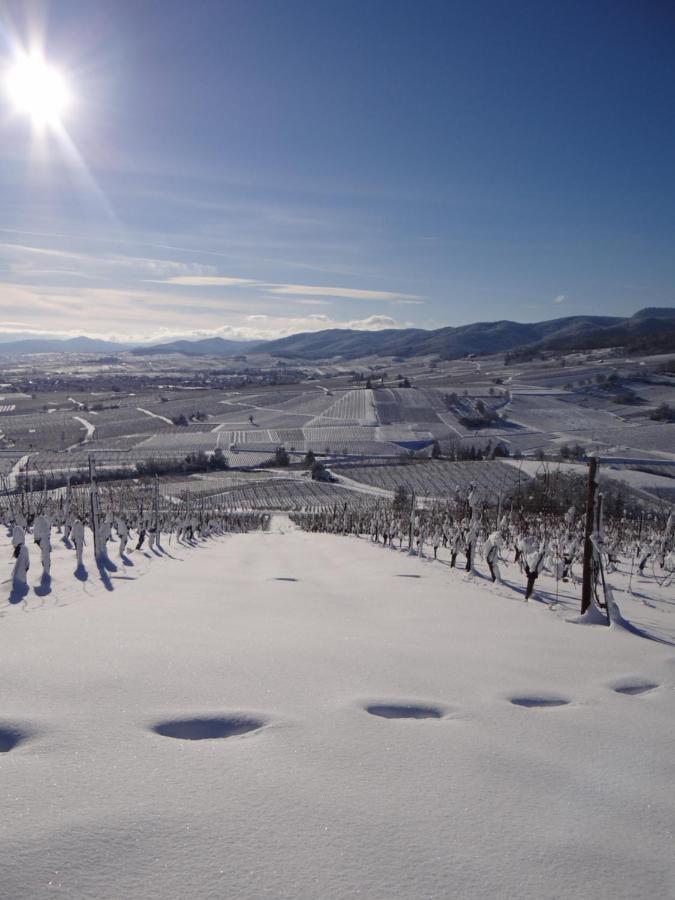 Au Coeur Des Vignes Apartment Бергхайм Екстериор снимка