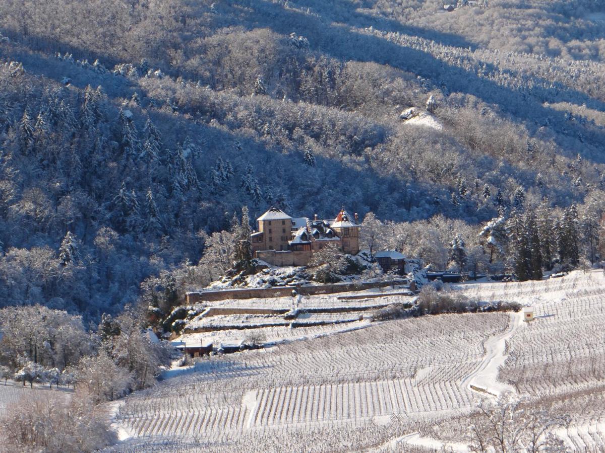 Au Coeur Des Vignes Apartment Бергхайм Екстериор снимка