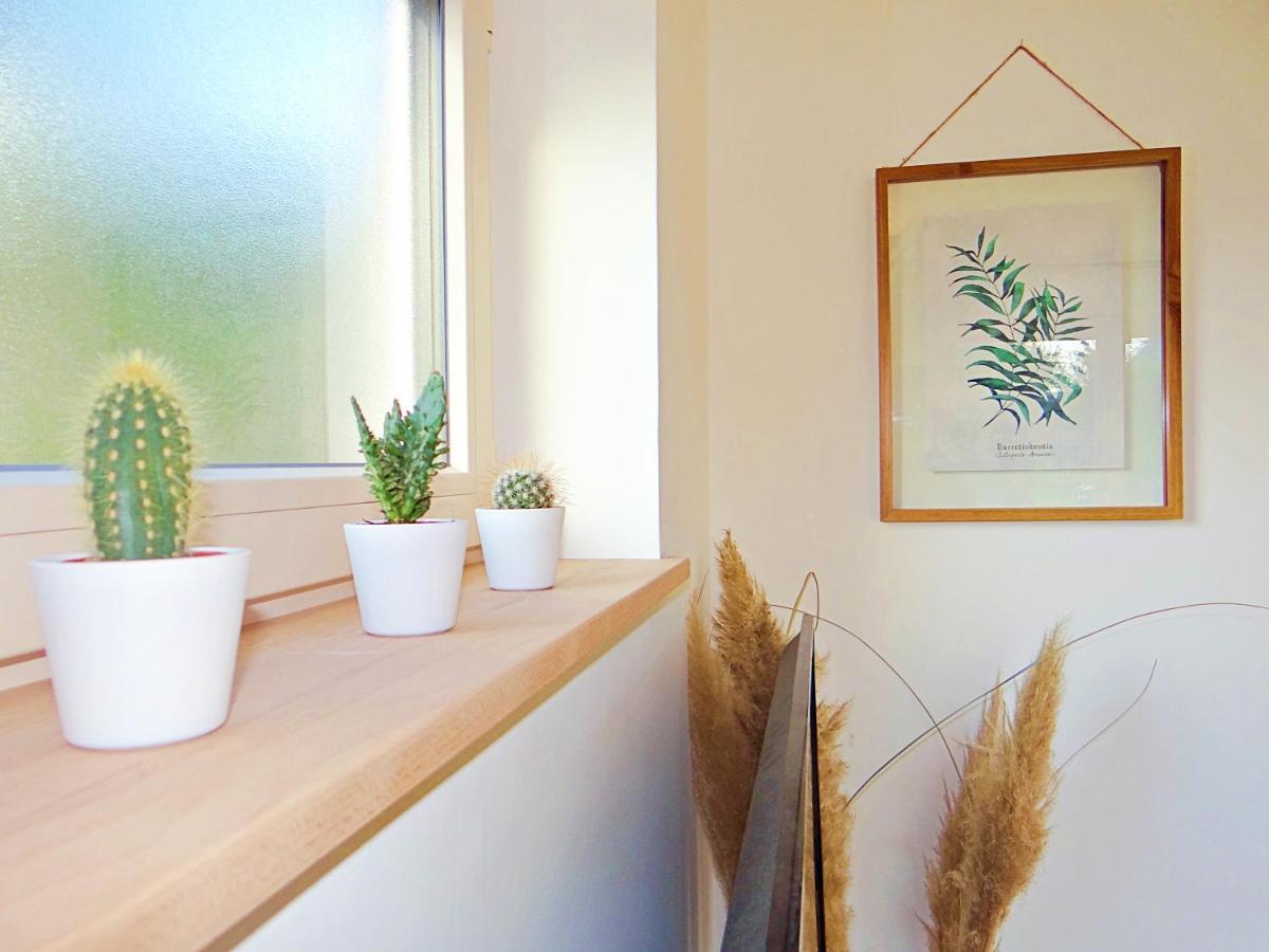 Au Coeur Des Vignes Apartment Бергхайм Екстериор снимка