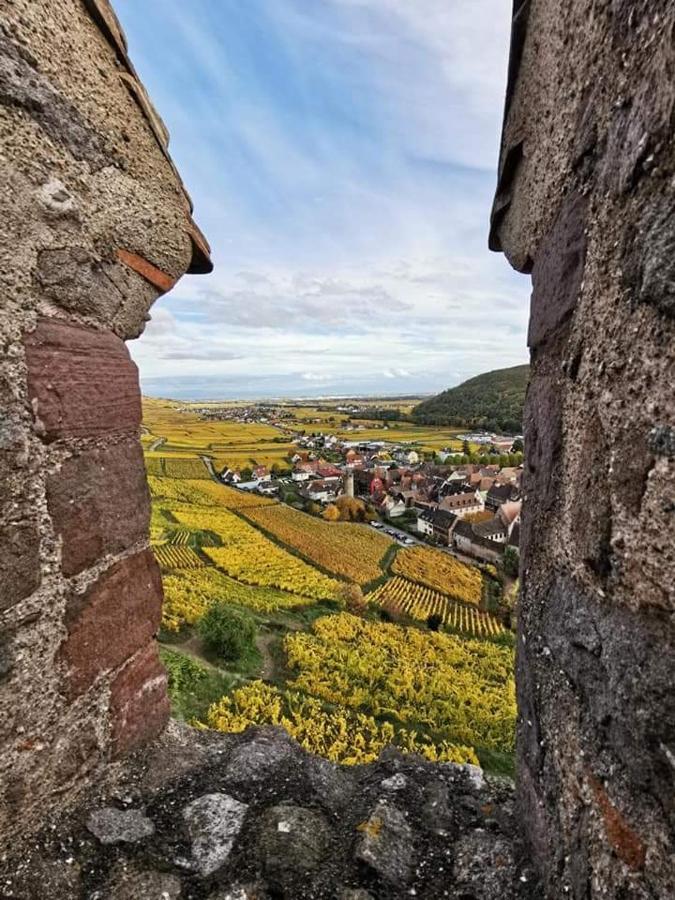 Au Coeur Des Vignes Apartment Бергхайм Екстериор снимка