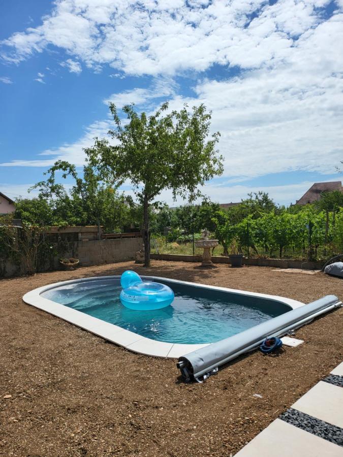 Au Coeur Des Vignes Apartment Бергхайм Екстериор снимка
